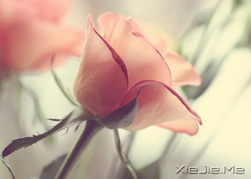 默然相爱，寂静喜欢 (3)