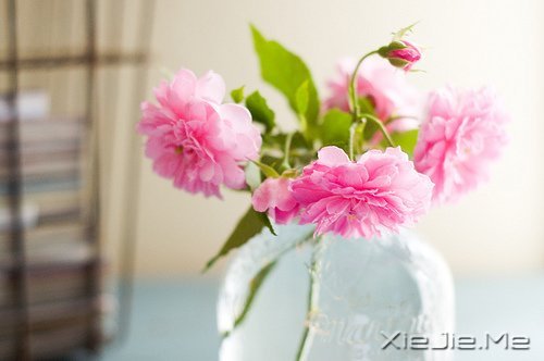 幸福，就是春夏秋冬，悠然自在 (5)