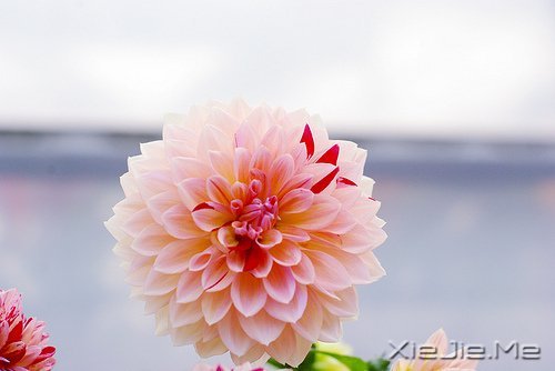幸福，就是春夏秋冬，悠然自在 (8)