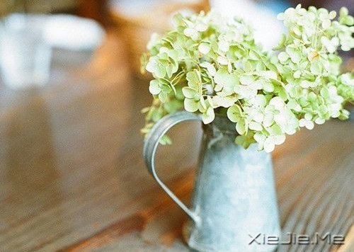 晚安心语：每一段青春都会苍老，但我希望记忆里的你一直都好 (10)