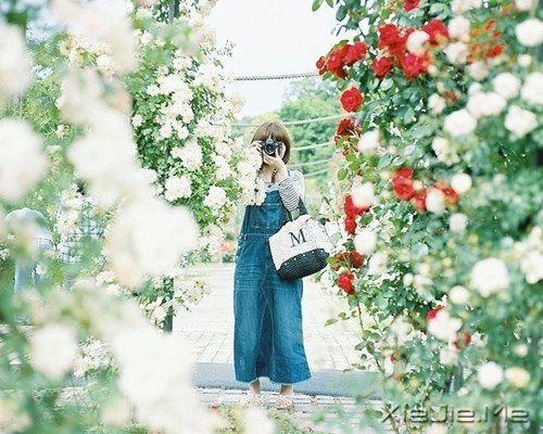 晚安心语：选择最淡的心事，诠释坎坷的人生 (9)