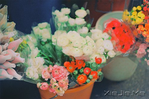 梦想很轻，却因此拥有飞向蓝天的力量 (3)