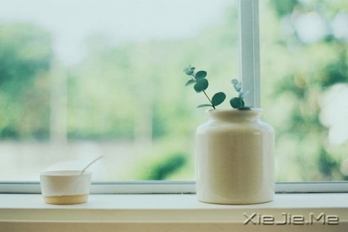 晚安心语：别对生活要求太多，生活才会充满惊喜 (11)